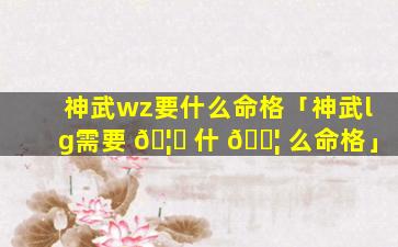神武wz要什么命格「神武lg需要 🦉 什 🐦 么命格」